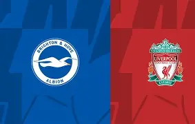 金年会入口-布莱顿训练开放日，窗口期止住颓势引欢呼，欧冠在即，赛季目标并未改变