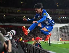 布莱顿训练开放日，窗口期止住颓势引欢呼，欧冠在即，赛季目标并未改变